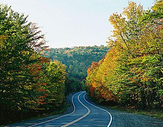 《使命召唤》80美金“金刚手套”近战武器引玩家不满